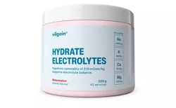 obrázek Vilgain Elektrolyty – meloun 320 g