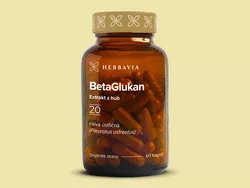 obrázek Beta 1,3 D glukan (Hlíva ústřičná)
