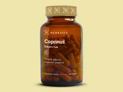 obrázek Coprinus - Hnojník - extrakt - 60 kapslí