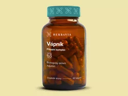 obrázek Vápník - Aquamin