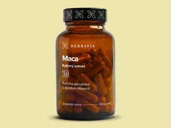 obrázek Maca (Řeřicha peruánská)