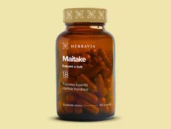 obrázek Maitake - extrakt z hub