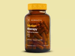 obrázek Motion therapy