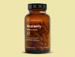 obrázek Acai berry - extrakt z plodů v kapslích