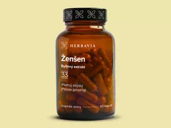obrázek Ženšen (Panax ginseng)