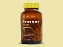 obrázek Ginkgo biloba FORTE