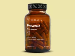 obrázek Právenka (Měkýn latnatý)