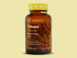 Tribulus forte