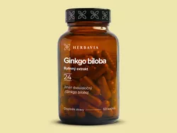 obrázek Ginkgo biloba (Jinan dvoulaločný)