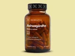 obrázek Ashwagandha (Vitánie snonosná)