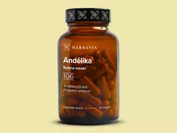 obrázek Andělika čínská-Dong quai-bylinný extrakt