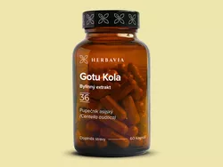 obrázek Gotu Kola - bylinný extrakt