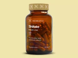 obrázek Shiitake - extrakt z hub